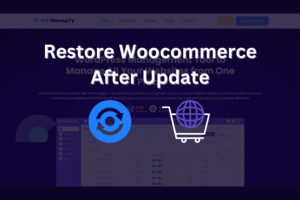 Restore Woocommerce After Update