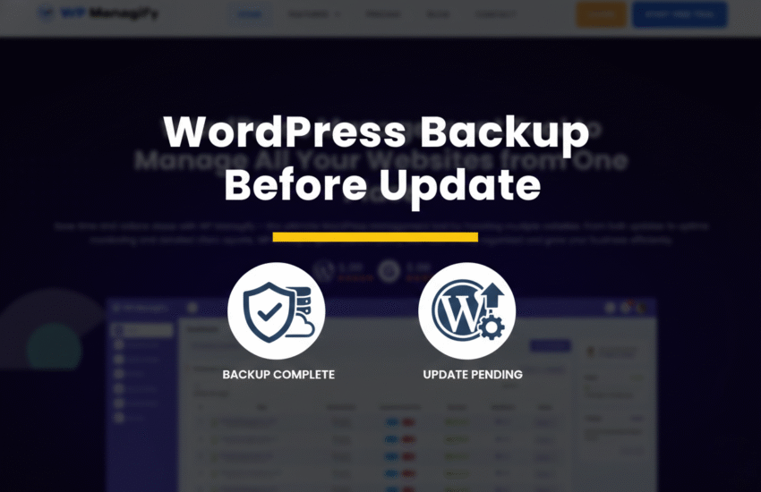 wordpress backup before update