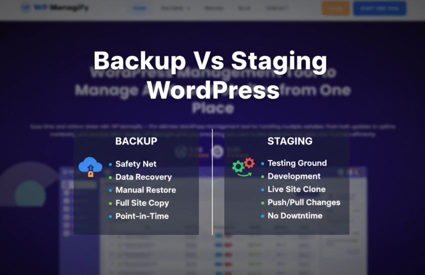 backup vs staging wordpress