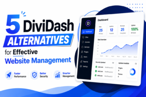 DiviDash alternatives